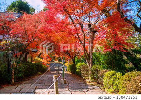 Maple tree tunnel with autumn red leaf at Manshuin temple, Kyoto 130471253