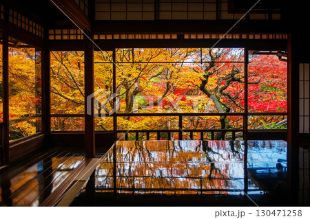 Rurikoin room terrace with autumn maple leaf colors, Kyoto 130471258