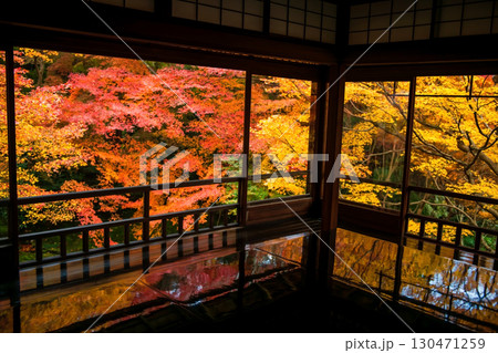Kyoto Rurikoin temple upper floor architect with colorful autumn leaf Kyoto Rurikoin temple upper floor architect with colorful autumn leaf 130471259