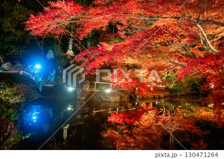 Pagoda and red maple leaves light up by pond, Kurodani temple, Kyoto 130471264