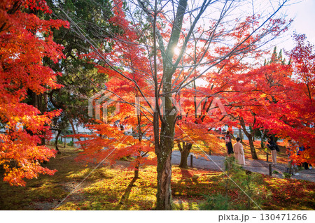 people view colorful maple leaf at Nanzen-ji Temple in fall, Kyoto 130471266
