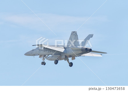 デモフライトを行う米海軍のF/A-18E スーパーホーネット VFA-195 ダムバスターズ デモフライトを行う米海軍のF/A-18E スーパーホーネット VFA-195 ダムバスターズ 130471658
