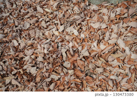 山梨県_日向山 山梨県_日向山 130473380