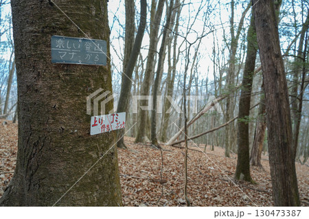 山梨県_日向山 130473387