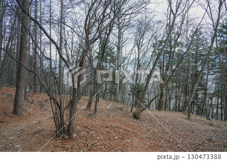 山梨県_日向山 130473388