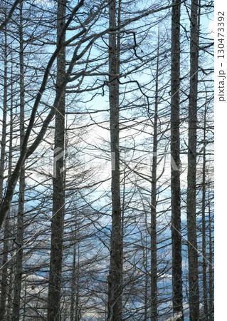 山梨県_日向山 130473392