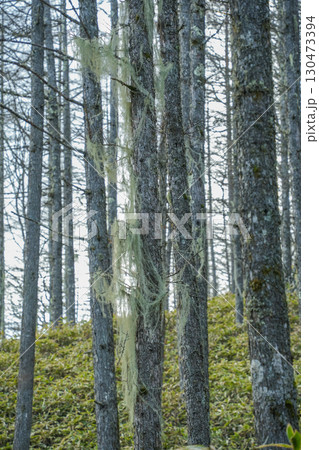 山梨県_日向山 山梨県_日向山 130473394