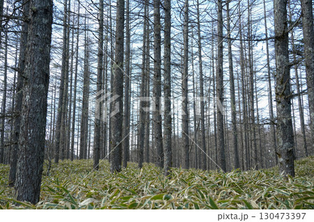 山梨県_日向山 山梨県_日向山 130473397