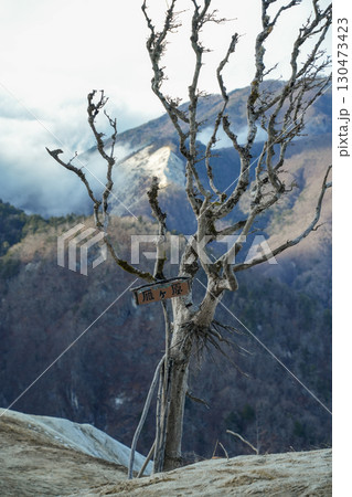 山梨県_日向山 130473423