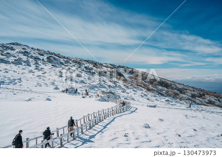 Hikers walking snowy trail on Hallasan Eorimok Trail, Jeju Island 130473973
