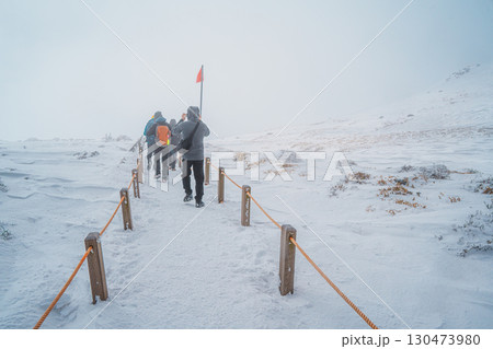 Hikers walking snowy Eorimok Trail in mist, Hallasan, Jeju Island Hikers walking snowy Eorimok Trail in mist, Hallasan, Jeju Island 130473980