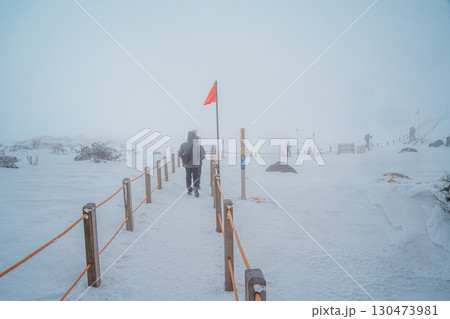 Hikers walking snowy Eorimok Trail in mist, Hallasan, Jeju Island 130473981