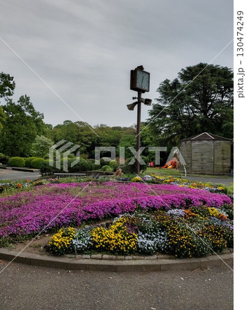 新新緑の群馬の森公園と自然豊かな風景 130474249