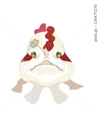 クマドリカエルアンコウ正面図 130475270