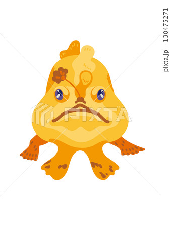 カエルアンコウ正面図 130475271