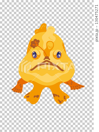 Frogfish front view 130475271