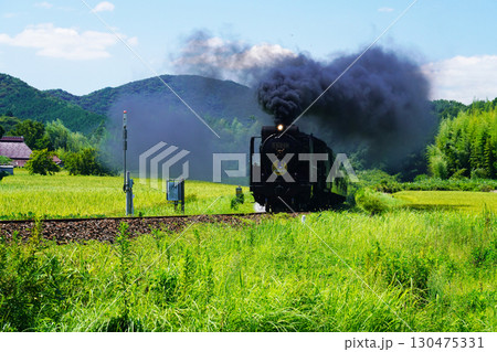 SLやまぐち号　D51　953 130475331