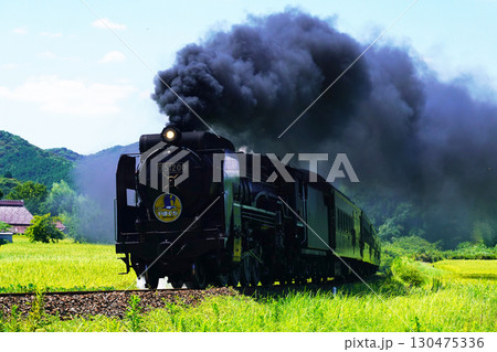 SLやまぐち号　D51　964 130475336