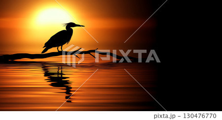 Majestic Sunset Silhouette Bird on Coastal Shore 130476770
