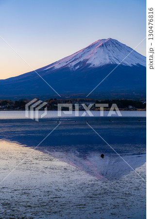 【富士山素材】冬の朝の河口湖から見た富士山【山梨県】 【富士山素材】冬の朝の河口湖から見た富士山【山梨県】 130476816