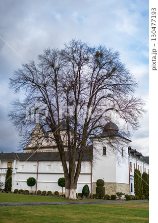 Wooden cottage surrounded by evergreen trees in a serene landscape during overcast weather 130477193