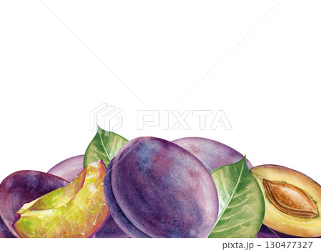 Watercolor horizontal frame with ripe plums. A botanical border with whole plums and halves, a plum slice and green leaves. A template with seasonal fruits for menus, healthy eating, and gardening. Watercolor horizontal frame with ripe plums. A botanical border with whole plums and halves, a plum slice and green leaves. A template with seasonal fruits for menus, healthy eating, and gardening. 130477327