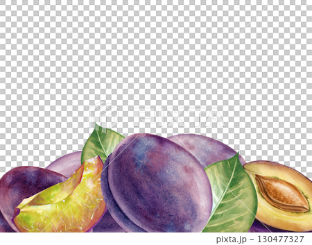 Watercolor horizontal frame with ripe plums. A botanical border with whole plums and halves, a plum slice and green leaves. A template with seasonal fruits for menus, healthy eating, and gardening. 130477327