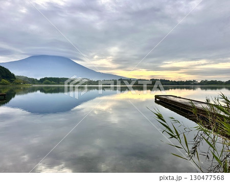 夜明けの田貫湖と富士山 130477568