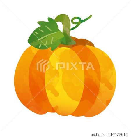オレンジのかぼちゃのイラスト オレンジのかぼちゃのイラスト 130477612