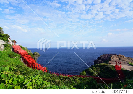 赤い鳥居 元乃隅神社331 赤い鳥居 元乃隅神社331 130477739