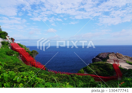 赤い鳥居　　元乃隅神社377 130477741