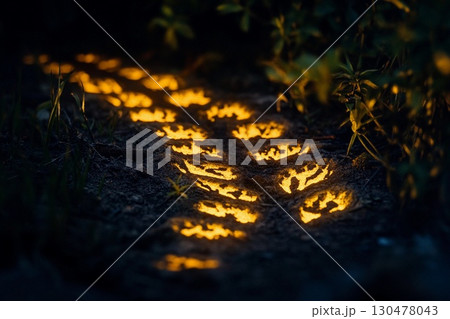 Cat explores glowing tracks in a mysterious forest at night revealing fantasy and intrigue 130478043