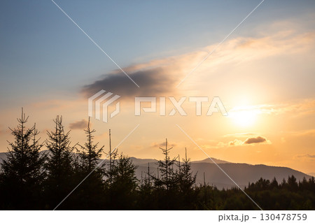 Sunset over mountains with silhouetted trees in the foreground during golden hour Sunset over mountains with silhouetted trees in the foreground during golden hour 130478759