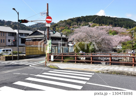大津市　琵琶湖疎水に架かる北国橋と満開桜 130478898
