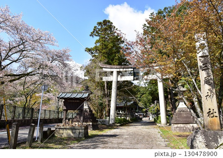 大津市 三尾神社と満開桜 大津市 三尾神社と満開桜 130478900