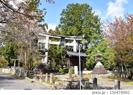 大津市 三尾神社と満開桜 大津市 三尾神社と満開桜 130478902