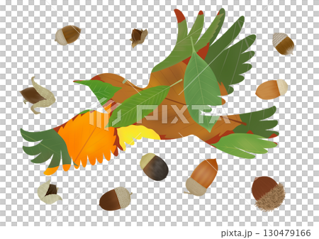 ヒヨドリとドングリのイラスト 130479166