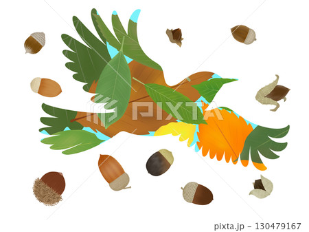 ヒヨドリとドングリのイラスト 130479167