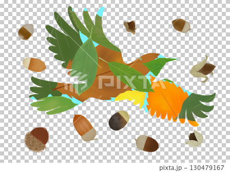 ヒヨドリとドングリのイラスト 130479167