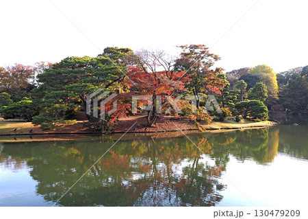 六義園の秋模様【東京都文京区】 130479209