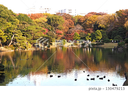 六義園の秋模様【東京都文京区】 130479213