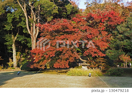 六義園の秋模様【東京都文京区】 130479218