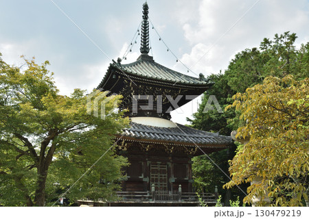 夏の清涼寺　多宝塔(京都市右京区) 130479219
