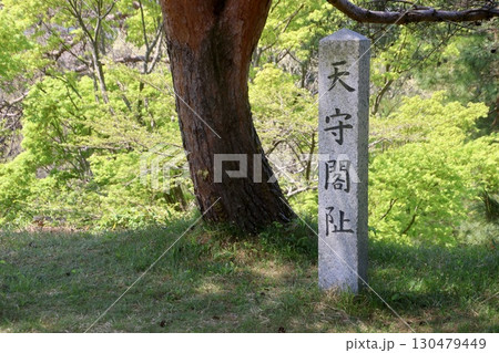 春日山城跡・天守台跡・標柱（新潟県・上越市） 130479449