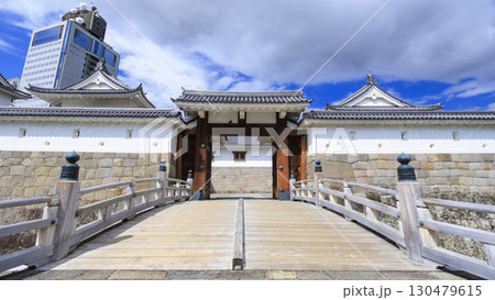 静岡県静岡市駿府城の夏 130479615