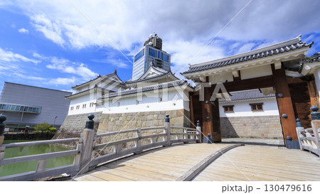 静岡県静岡市駿府城の夏 静岡県静岡市駿府城の夏 130479616