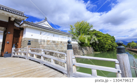 静岡県静岡市駿府城の夏 130479617