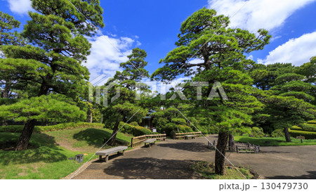 駿河城の紅葉山庭園の夏 130479730