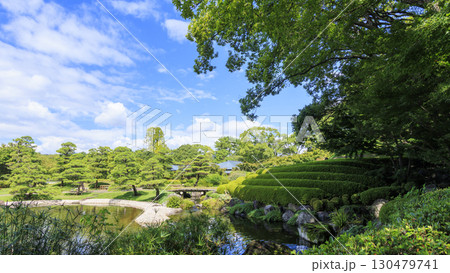 駿河城の紅葉山庭園の夏 130479741