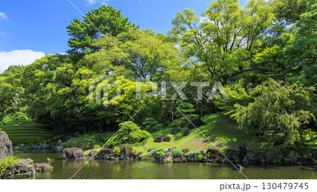 駿河城の紅葉山庭園の夏 130479745
